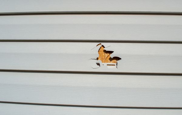 Cost of Siding Hole Patching in Ooltewah